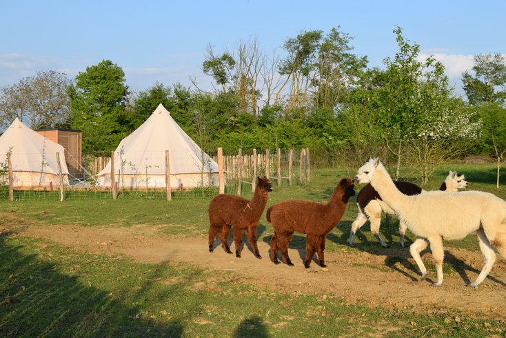 Hébergement AbracadaRoom : Tente Inca - Image 1