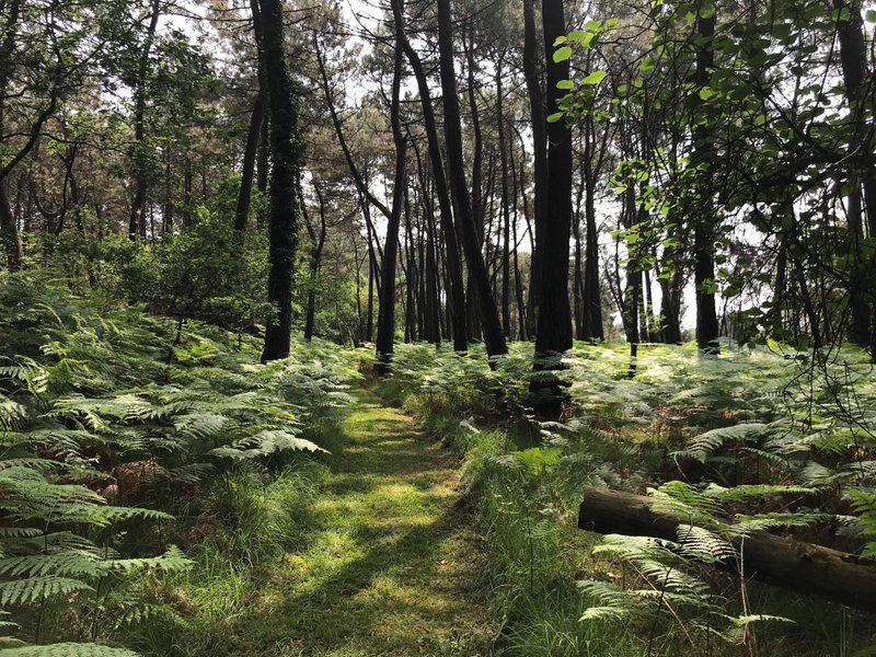 Domaine AbracadaRoom : Domaine de Lann Hallat - Image 13