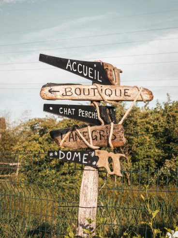 Domaine AbracadaRoom : Les Alpagas du Clos - Image 6