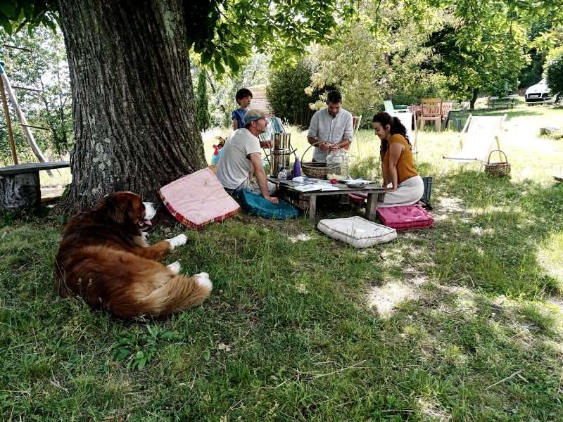 Hébergement AbracadaRoom : Escapade en pleine Nature dans un séchoir à plantes - Image 15