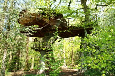 Cabane Jonquille à Cléder (3)