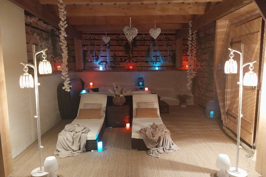 "M"ANON-Dôme Géodésique, piscine, spa et sauna. à Malves En Minervois (5)