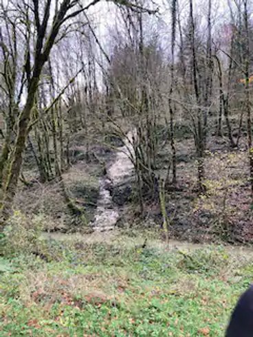 Domaine AbracadaRoom : Roulotte du Jura Vert - Image 10