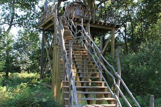 Cabane Bambou