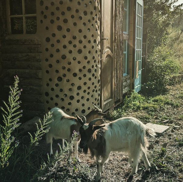 Domaine AbracadaRoom : La mauvaise herbe - Image 14