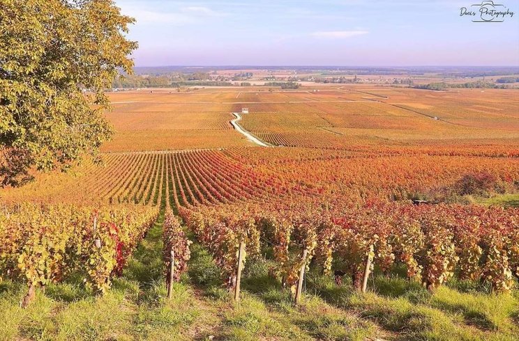 Hébergement AbracadaRoom : Tente Cosy - Image 17