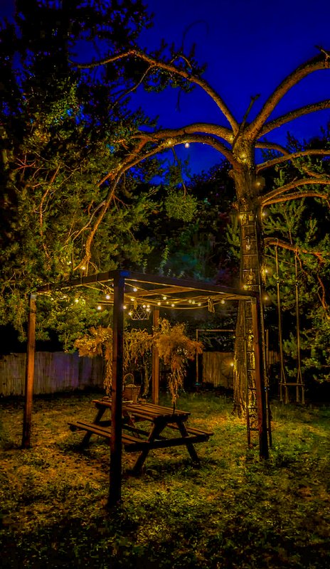 Chalet en verre sous une pluie d’étoiles à Biot (24)