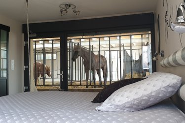 [1]  Suite 5 personnes avec accès direct aux chevaux à Fraisnes-En-Saintois (2)