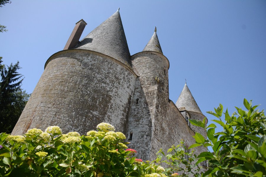 Domaine AbracadaRoom : Château la Noé Sèche - Image 4