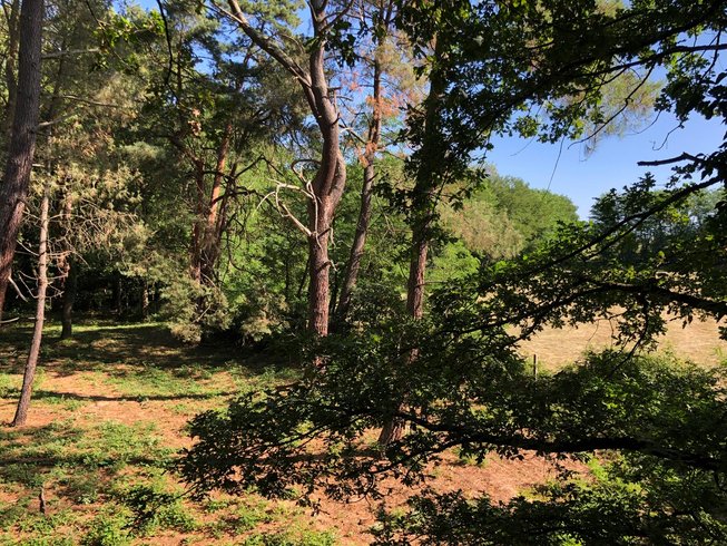 Domaine AbracadaRoom : Le Jardin Des Cabanes - Image 10