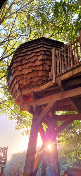 Hébergement AbracadaRoom : La Tête dans les étoiles - Image 36