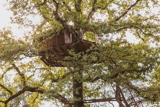 Cabane dans les arbres Haute-Saône
