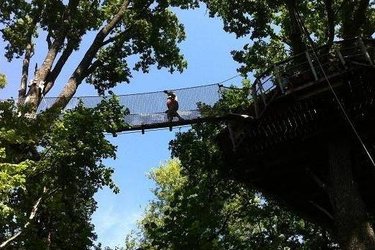 Cabane Guadeloupe à La Baconnière (4)