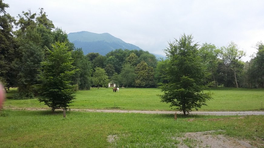 Domaine AbracadaRoom : Aire du Gave d'Ossau - Image 3