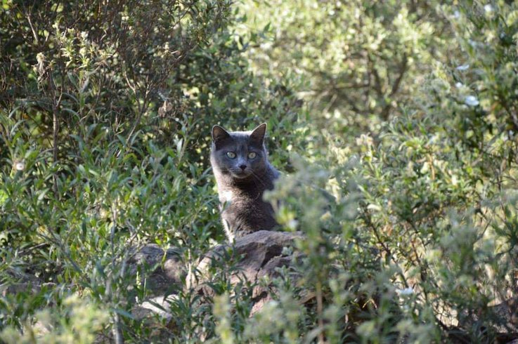 Domaine AbracadaRoom : Les Ecuries du Soleil - Image 17