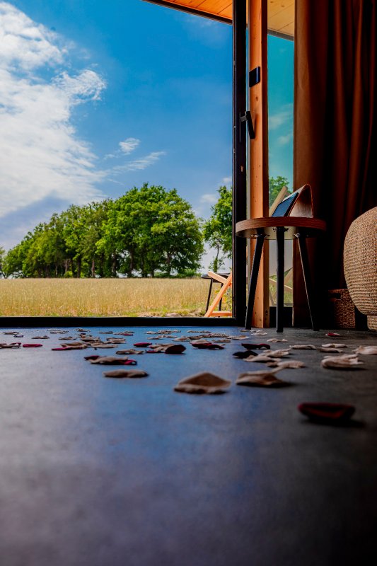 Pépites Lodges et Spas Lodge 2 Exclusif à Prémilhat (7)