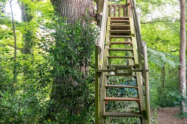 Cabane Rouge Gorge à Saint Pierre Azif (3)