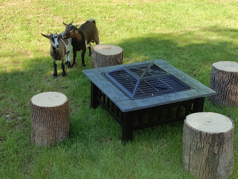 Hébergement AbracadaRoom : La parenthèse enchantée - Image 14