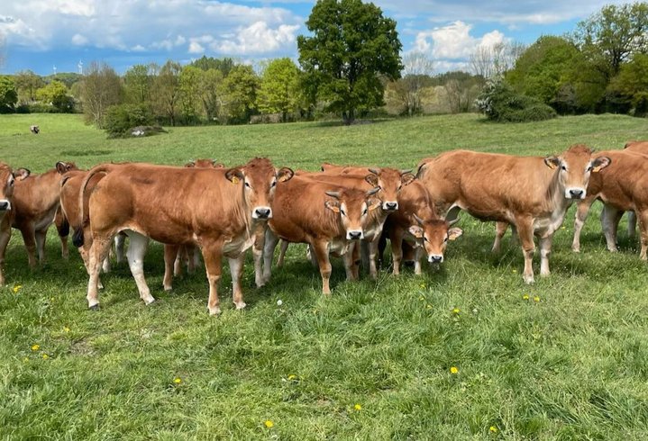 Hébergement AbracadaRoom : La Tiny des Prés - Image 14