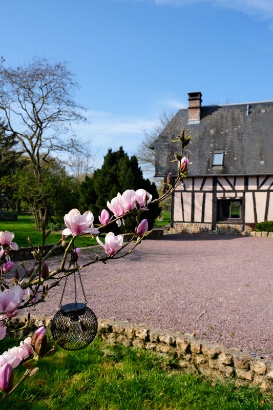 Studio avec étang- Nature & calme à 1h30 de Paris à Gisay La Coudre (4)