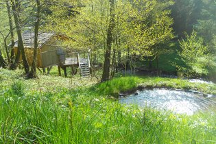 Cabane sur pilotis Bas-Rhin