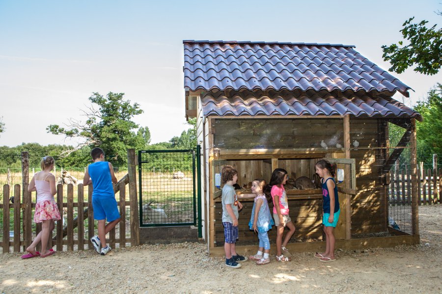 Domaine AbracadaRoom : Château de la Forêt - Image 17