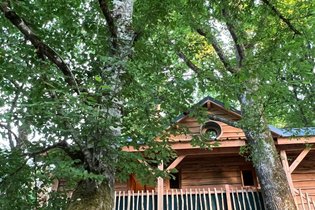 Cabane dans les arbres Loiret