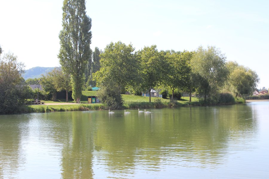 Domaine AbracadaRoom : Seasonova Camping Vesoul - Image 15