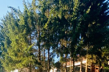 Le Dôme à Siersthal (4)