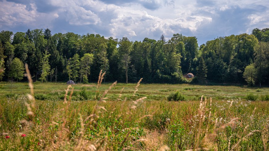 Hébergement AbracadaRoom : Andromède & Spa : Dôme Géodésique pour nuitée à la belle étoile - Image 16