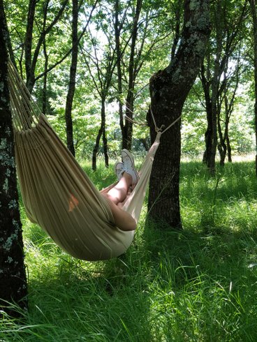 Hébergement AbracadaRoom : Lichen dôme géodésique & Spa - Image 22