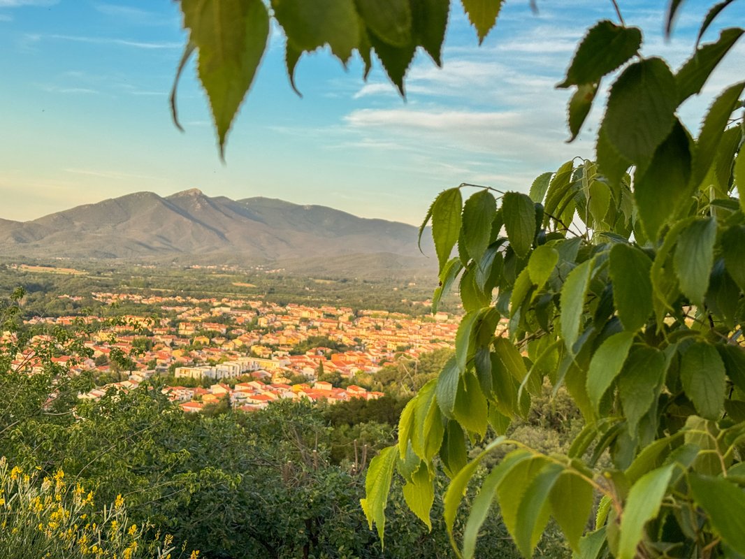 Le Paradis des Albères - Refuge Vue Mer & Montagne à Céret (6)