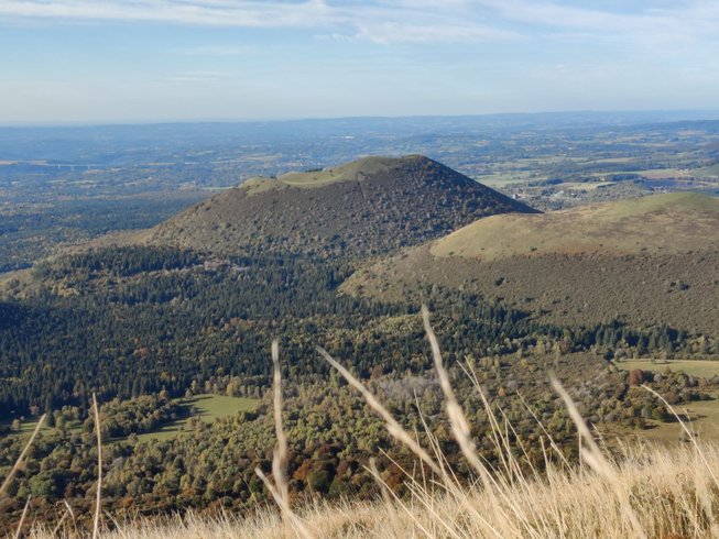 Domaine AbracadaRoom : Moose Tiny House Ambur - Image 27