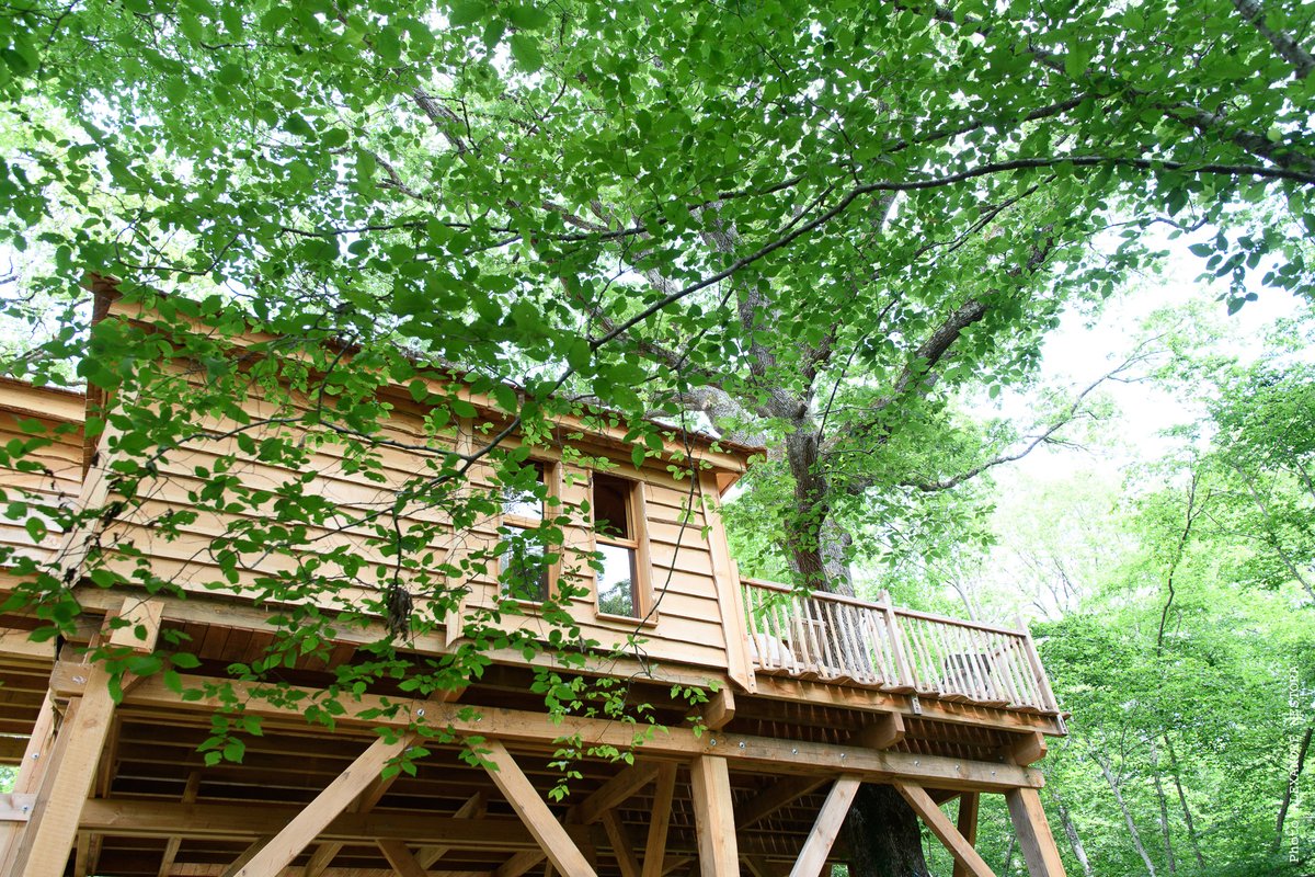 La Cabane aux Oiseaux & Spa à La Bussiere (7)