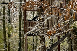 Cabane sur pilotis Indre-et-Loire