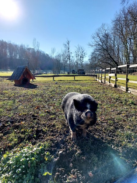 Hébergement AbracadaRoom : La Cabane Le Vieux Grimoire & Spa - Image 20