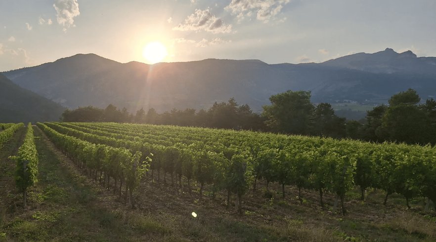 Hébergement AbracadaRoom : ※ Homnest ※ Cirque des Géants ※ Vignoble à 20 min de Die - Image 10