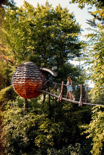 Hébergement AbracadaRoom : Cabane Spa Cocoon Étoilé - Image 6