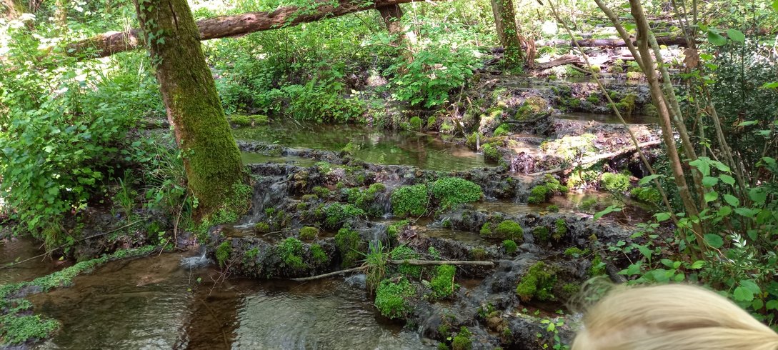 Domaine AbracadaRoom : Ma pause nature - Image 22