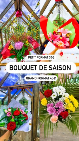 Domaine AbracadaRoom : Chalet en verre sous une pluie d’étoiles - Image 49