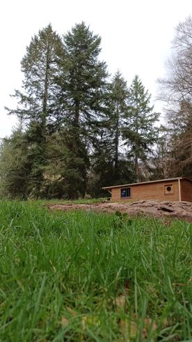 Hébergement AbracadaRoom : Roulotte des hêtres - Image 7