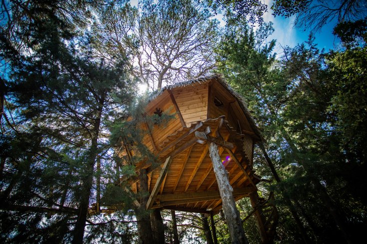 Hébergement AbracadaRoom : Rollier - Image 5