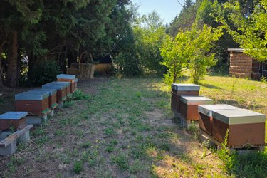 La Ruche - Atelier d'apiculture à Orange (2)