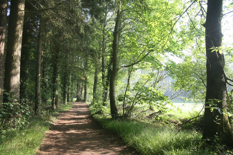Hébergement AbracadaRoom : Cabane Familiale Verrière - Image 13