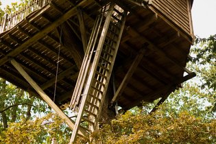 Cabane dans les arbres Oise