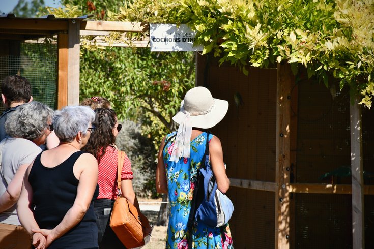 Domaine AbracadaRoom : Parc Du Coq à l'Âne - Image 5