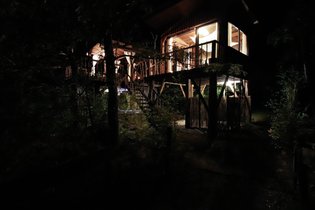 Cabane dans les arbres Gironde