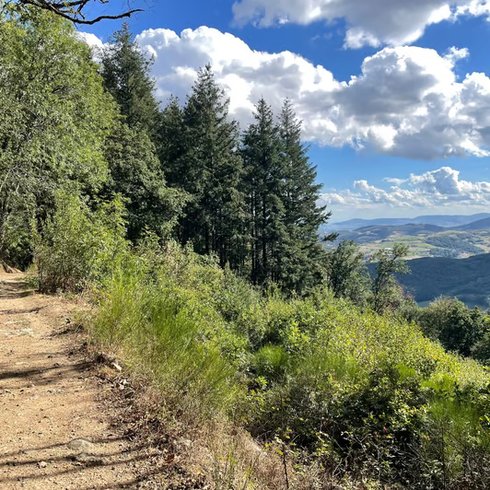 Domaine AbracadaRoom : Le Refuge d'Yzeron - Image 18