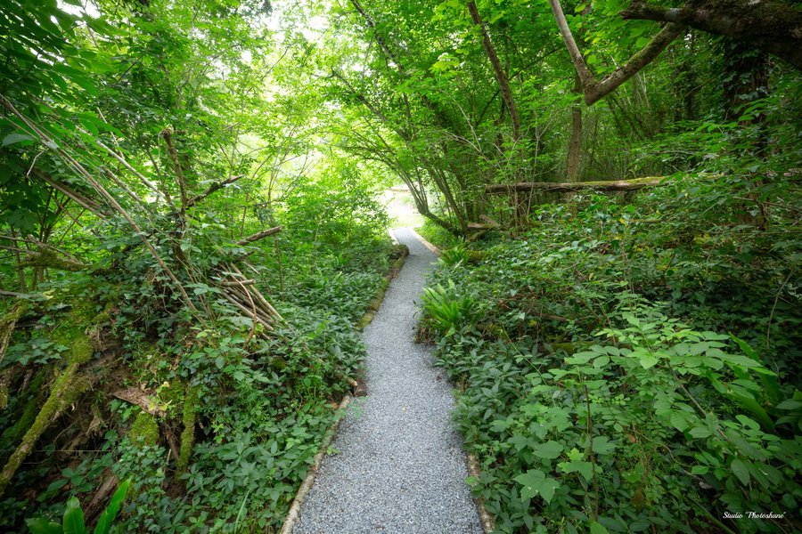 Hébergement AbracadaRoom : Géode Chêne Emeraude - Image 11