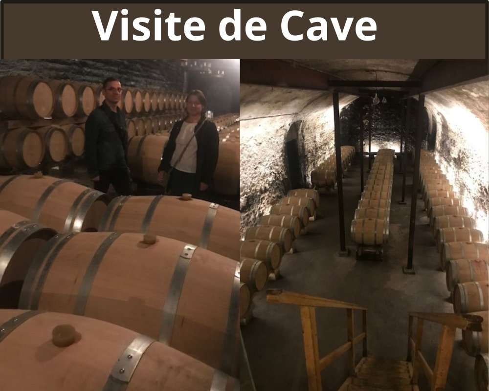 Tonneau Prestige et découverte viticole à Jonquières (15)